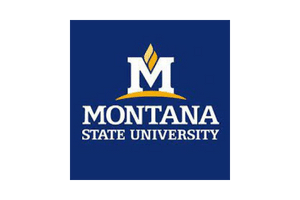 Montana Colleges: Montana State University